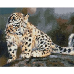 Алмазная мозаика 40х50, круглые стразы QA 203027 Маленький леопард