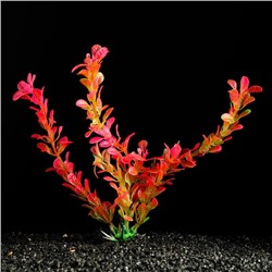 Растение искусственное аквариумное, 4 х 20 см, розово-оранжевое