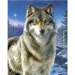 Алмазная мозаика 40х50, круглые стразы QA 200234 Взгляд волка