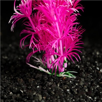 Растение искусственное аквариумное, 3 х 13 см, розово-белое