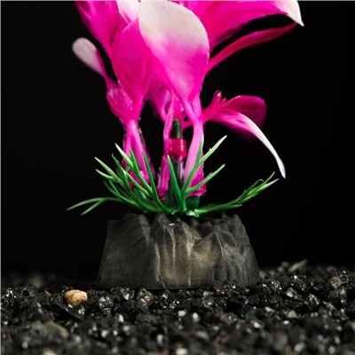 Растение искусственное аквариумное, 10 см, розово-белое