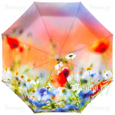 Зонт "Полевые цветы" RainLab 018