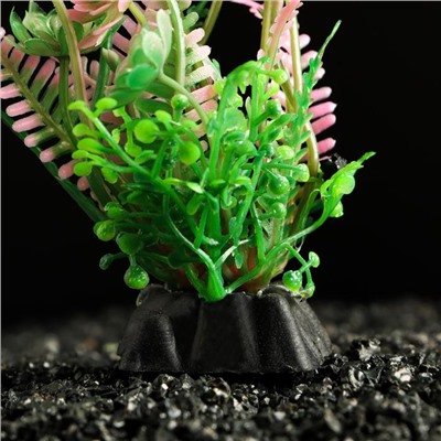 Растение искусственное аквариумное, 3 х 9 см, розово-зелёное