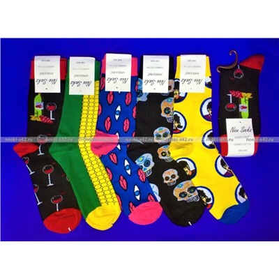 Nice Socks (AMIGOBS) ЦВЕТНЫЕ НОСКИ женские на вешалке арт.1203 (2208,2209)