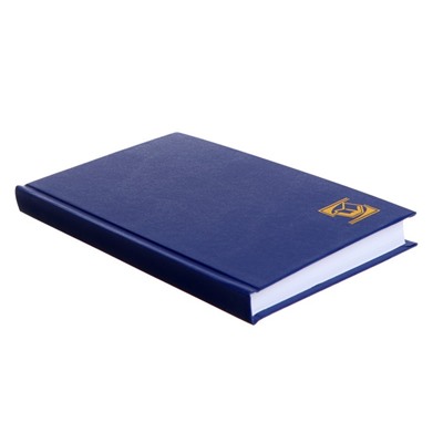 Ежедневник недатированный А5, 128 листов, бумвинил, синий