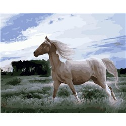 Картина по номерам 40х50 OK 10374 Эксклюзив!!! Белая лошадь