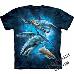 3д футболка с акулами
