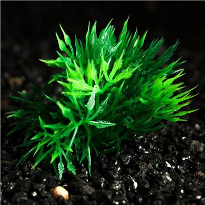 Растение искусственное аквариумное, 5 см, зелёное