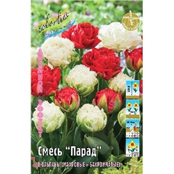 тюльпан Смесь "Парад" (тюльпаны махр.+бахр.)цена за 5 шт