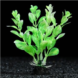 Растение искусственное аквариумное, 10 см, зелёно-белое, 1 шт.