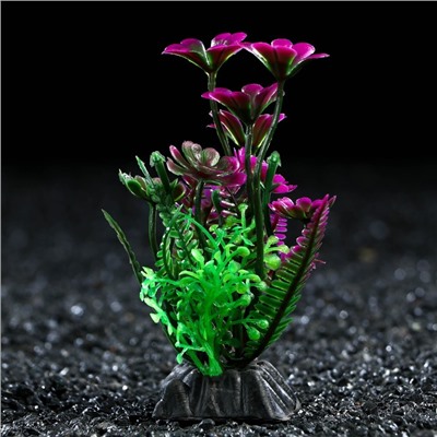 Растение искусственное аквариумное, 3 х 9 см, фиолетово-зелёное, 1 шт.