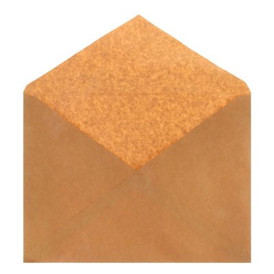 Крафт-конверт С4 229x324 мм, чистый, без окна, треугольный клапан, без клея, 80 г/м², в упаковке 250 шт.