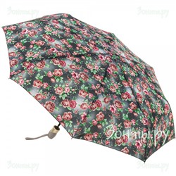 Зонт для женщин ArtRain 3915-11