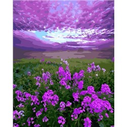 Картина по номерам 40х50 OK 10420 Эксклюзив!!! Фиолетовые цветы