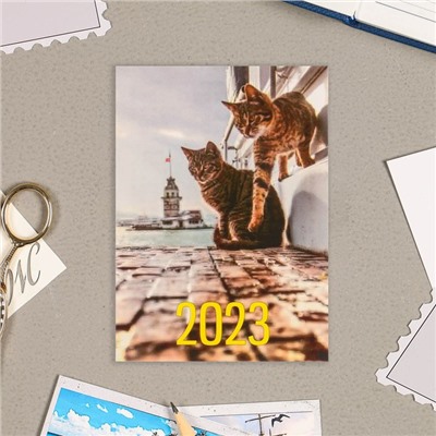 Карманный календарь "Коты - 3" 2023 год, 7 х 10 см, МИКС
