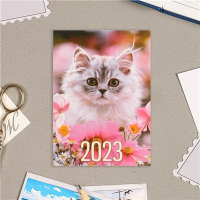 Карманный календарь "Коты - 1" 2023 год, 7 х 10 см, МИКС