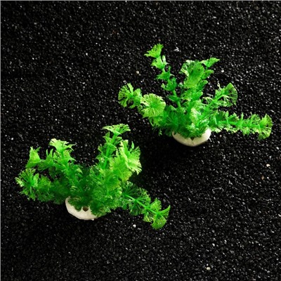Растение искусственное аквариумное кустовое, 10 см, зеленый