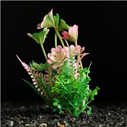 Растение искусственное аквариумное, 3 х 9 см, розово-зелёное