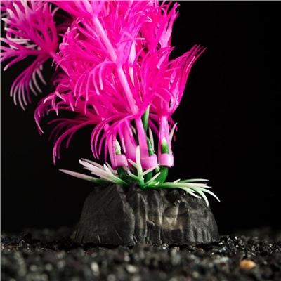 Растение искусственное аквариумное, 3 х 13 см, розово-белое