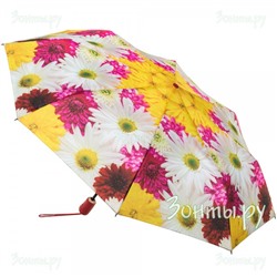 Зонт с яркими цветами Airton 3916-233