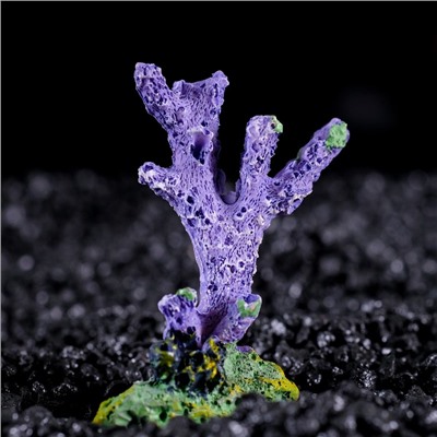 Декоративный коралл "Синулярия мини", 6 х 3,5 х 8,5 см, микс видов