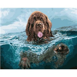 Картина по номерам 40х50 GX 21740 Собака в воде