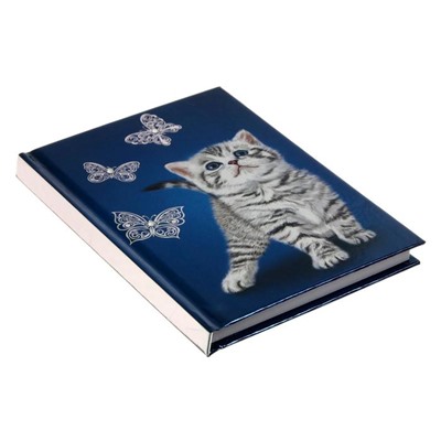 Записная книжка, А6+, 80 листов, "Котёнок", твёрдая обложка, тиснение фольгой, шелкография, блок 70 г/м²