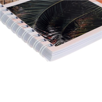 Альбом для рисования А4, 60 листов на гребне "Путешествие", обложка мелованная бумага, блок 100 г/м²