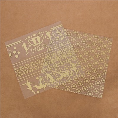 Набор бумаги для скрапбукинга с фольгированием «Путь чемпиона», 12 листов, 20 × 20 см
