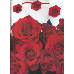 CN/ Пакет пластиковый №HL-С8806 (30*23*8см) Розы красные