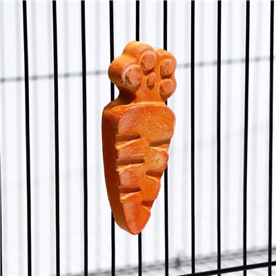 Минеральный камень "Пижон" для грызунов, морковка, 35 г