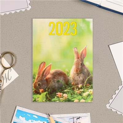 Карманный календарь "Символ года - 2" 2023 год, 7 х 10 см, МИКС