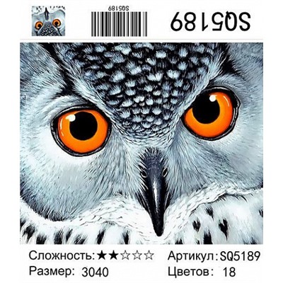 картина по номерам "Сова", 30х40 см