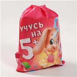 Сумка для обуви "Учусь на 5+" 41*30*0,5см