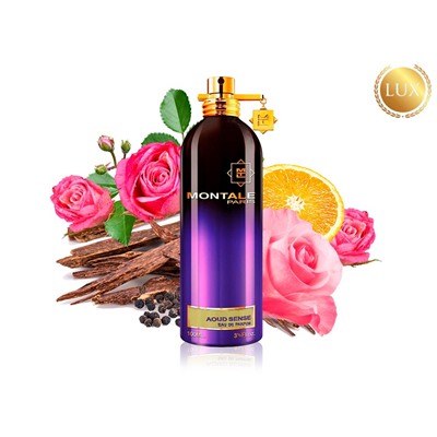 MONTALE AOUD SENSE, Edp, 100 ml (СУПЕР КАЧЕСТВО)