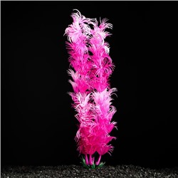 Растение искусственное аквариумное, 4 х 20 см, розово-белое