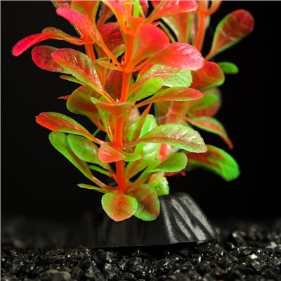 Растение искусственное аквариумное, 3 х 9 см, оранжево-зелёное