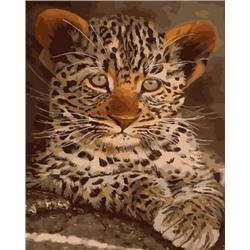 Картина по номерам 40х50 OK 10246 Эксклюзив!!! Маленький леопард