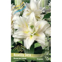 ROSELILY ЗИТА цена за 5 шт