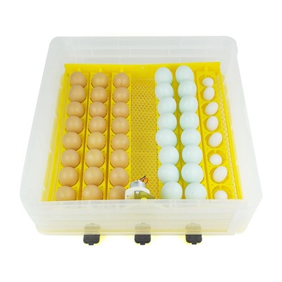 Инкубатор автоматический SITITEK 96, вместимость до 96 яиц, 220 В