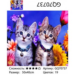 картина алмазная мозаика "Два котенка", 40х50 см