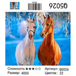картина по номерам "Две лошади", 40х50 см