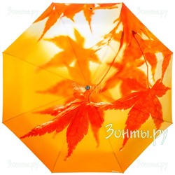 Зонт "Осенний клён" RainLab 079