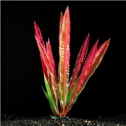 Растение искусственное аквариумное, 4 х 20 см, зелёно-красное