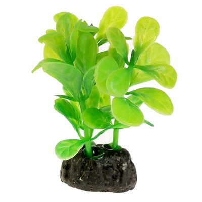 Растение искусственное аквариумное малое, 6 см