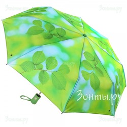 Зонтик недорогой Magic Rain 4231-04