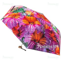 Мини зонт "Сальпиглоссисы" Rainlab 072 MiniFlat