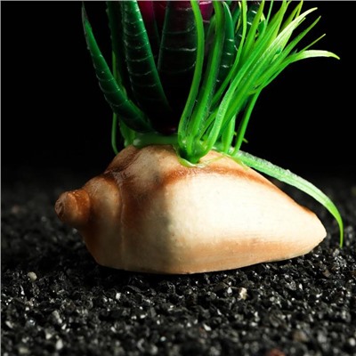 Растение искусственное аквариумное, на ракушке, 12 х 8 см