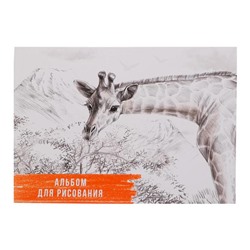 Альбом для рисования А4, 40 листов на склейке "Жираф", обложка мелованный картон, блок 100 г/м²