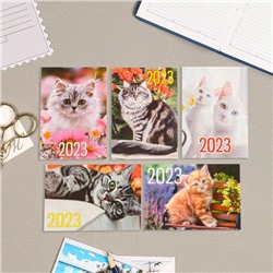 Карманный календарь "Коты - 1" 2023 год, 7 х 10 см, МИКС